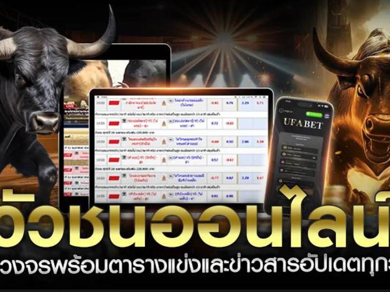 Peleas de toros en vivo: disfruta de los combates en línea en tiempo real, emoción en cada encuentro