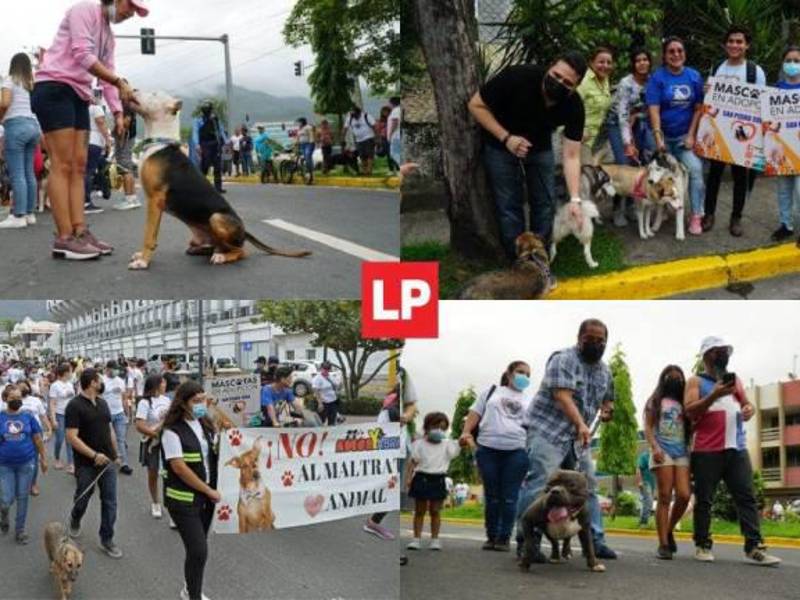 La marcha será en San Pedro Sula a partir de las 4:00 pm.