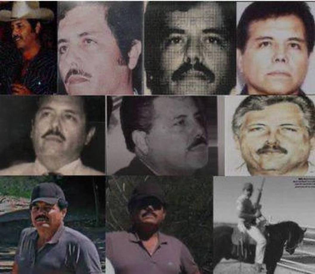 Ismael Mario Zambada, “El Mayo,” nació en 1948 y ha estado vinculado al crimen organizado por casi 50 años, llegando a ser líder de una de las principales organizaciones delincuenciales del mundo: el Cártel de Sinaloa.