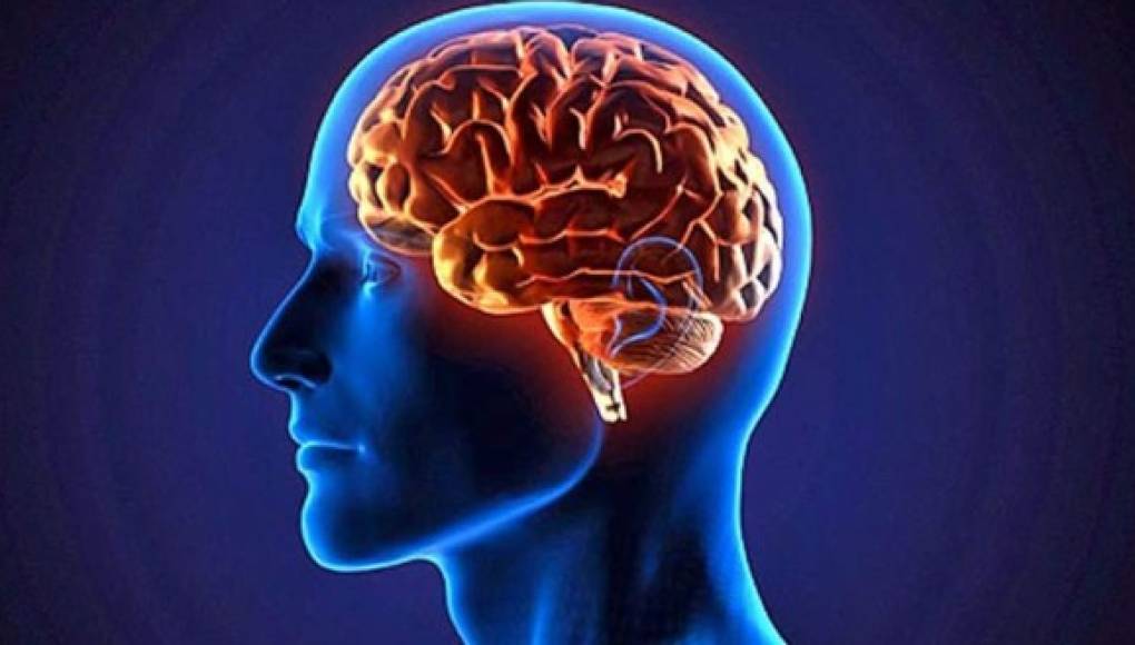 La estimulación cerebral magnética mejoraría la función cerebral