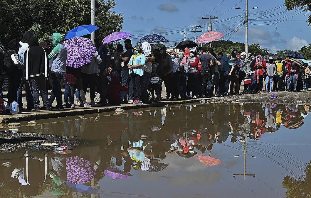 La inoculación continuará hasta la primera semana de noviembre. 