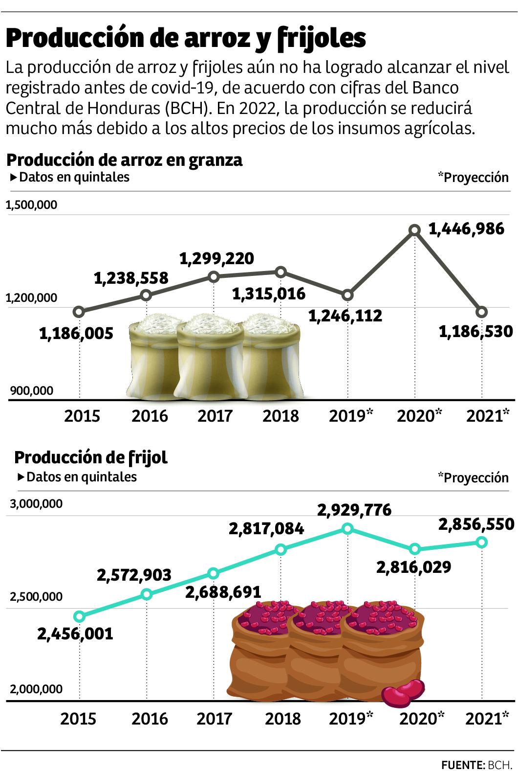 Producción de frijol caerá en más de 30% y el arroz en 50%