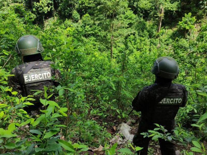 Incautan maquinaria para extraer oro de río en Iriona, Colón