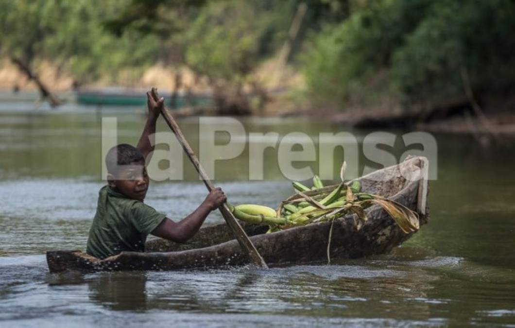 Foto: La Prensa