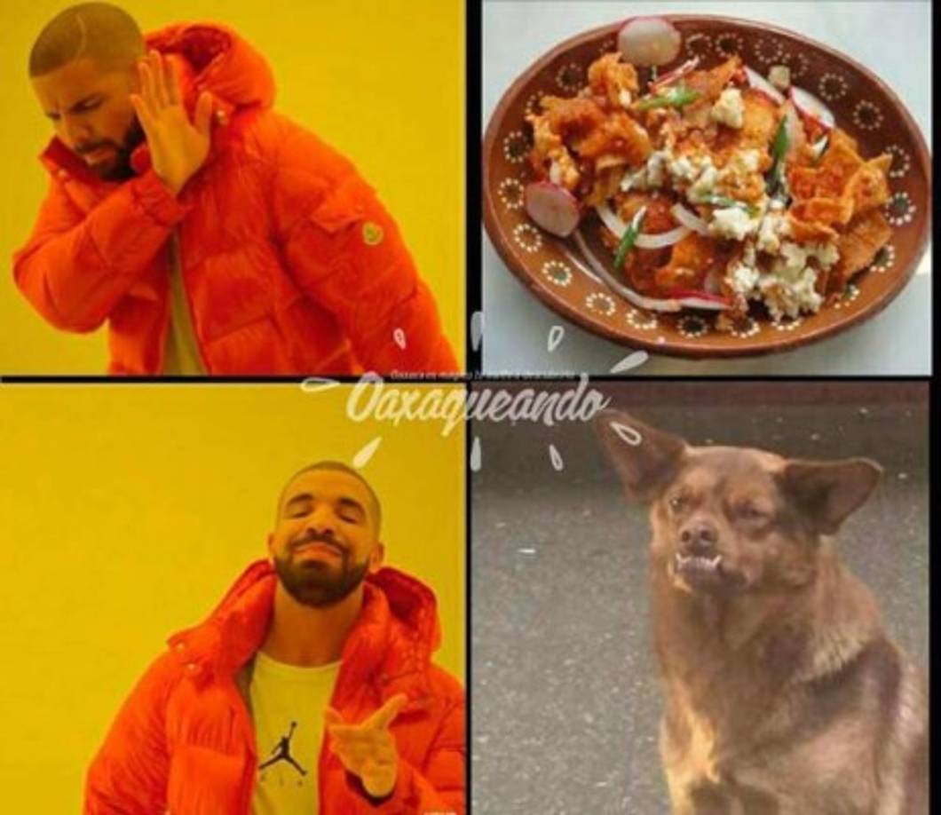 Quien diría que este perro con aspecto chistoso conquistaría nuestros corazones, siendo simplemente él, Chilaquil.