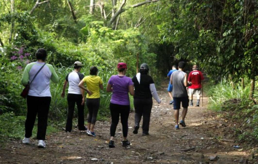 3. Recorrer la montaña de El Merendón.<br/>Subir la montaña en caminata o en bicicleta, acompañados o solos, se ha vuelto un hábito para muchos ciudadanos que ven en este lugar el momento propicio para ejercitar su cuerpo y disfrutar de la naturaleza. El punto de partida está ubicado en la colonia Lomas de Bella Vista y la meta es...<br/>