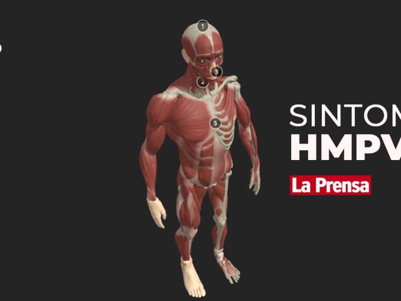 El virus HMPV es un virus que ataca el sistema respiratorio.