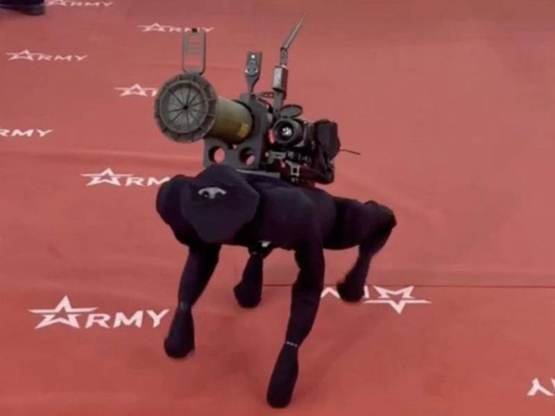 Rusia inauguró este lunes la mayor feria militar del país exhibiendo un perro robot con un lanzagranadas, prototipo del sistema robótico M-81, capaz de disparar a blancos y transportar armas, así como de participar en tareas de selección de objetivos, patrullaje y vigilancia, según medios locales.