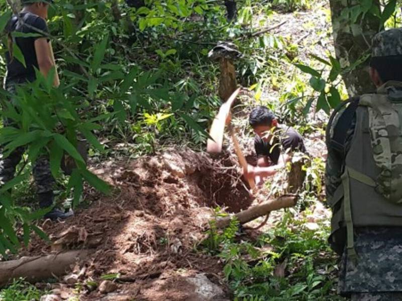 Las excavaciones se llevan a cabo en el Búfalo.