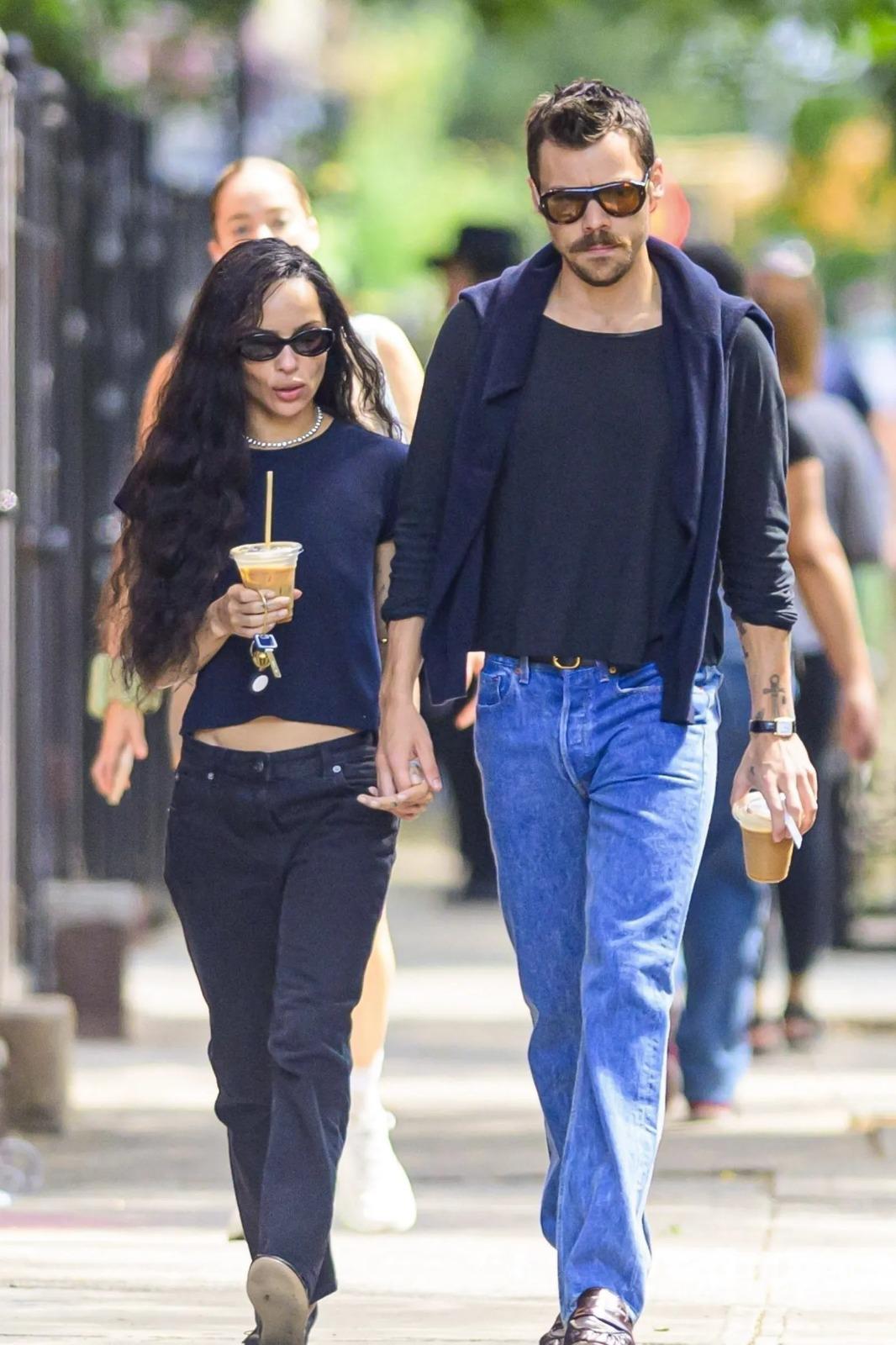 ¿Quiénes son los exnovios de Zoë Kravitz?