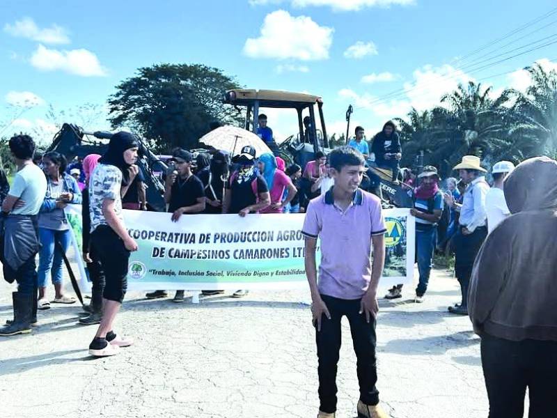 La Plataforma Agraria, que aglutina a varios grupos de campesinos en el departamento de Colón, pidió la intervención del Gobierno ante un nuevo conflicto por tierras entre campesinos y pobladores que aseguran que los primeros están invadiendo tierras.