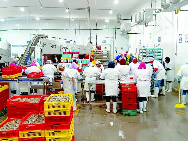 El grupo Santa Inés generaba 1,500 empleos directos en el sur. Foto:FB/gruposantainés.