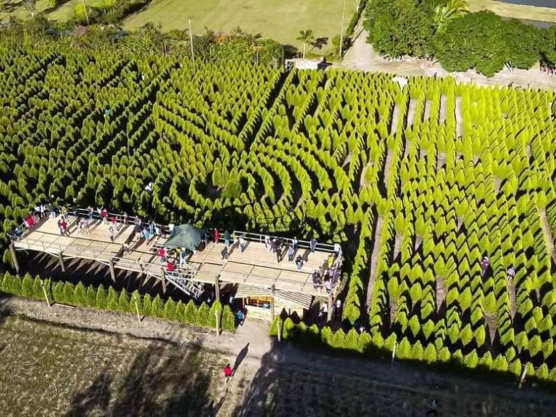 El Laberinto de Cipreses está ubicado en la aldea Flores de la Villa de San Antonio, Comayagua, zona central de Honduras.