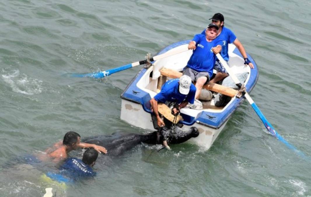 Foto: La Prensa