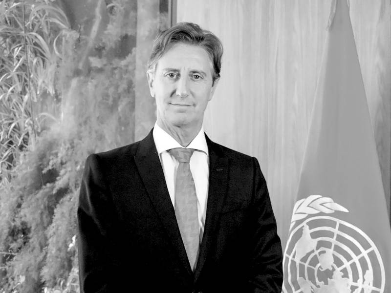 El desarrollo como fuerza estabilizadora para la humanidad