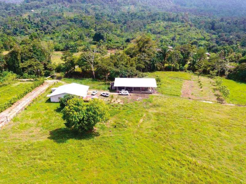 <b><span class=mln_uppercase_mln>Archivo.</span></b> Son miles de hectáreas las que han sido incautadas a grupos del narcotráfico.<span class=mln_uppercase_mln> </span>