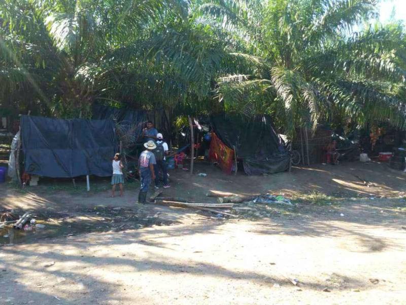 La finca Tramvio, situada en la aldea Quebrada de Arena de Tocoa, es una de las casi veinte propiedades invadidas por supuestos campesinos.