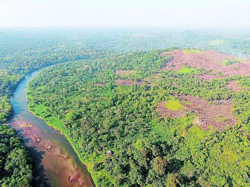 La Mosquitia, además de ser un pulmón para Centroamérica, es fuente de alimentos para los habitantes del caribe hondureño.