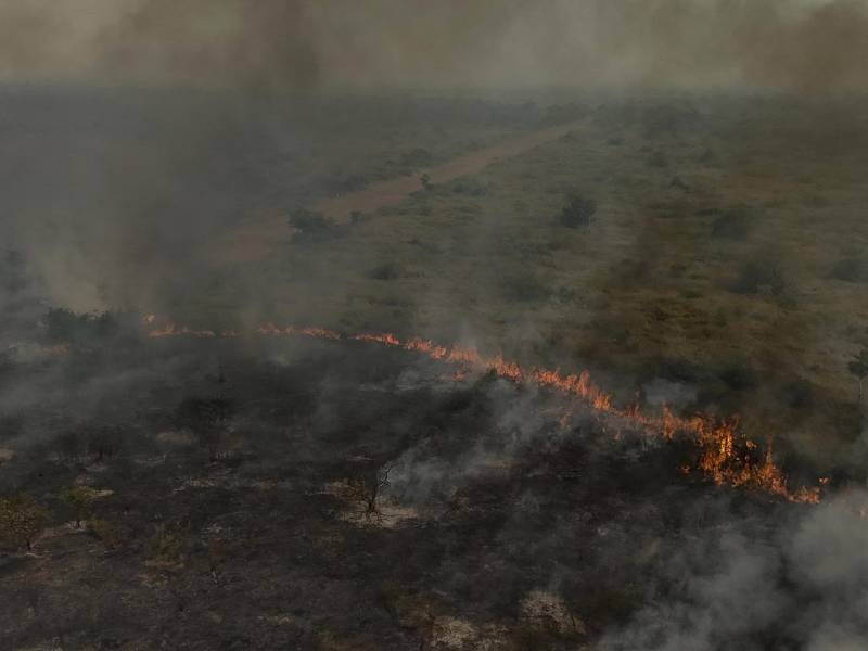 Los incendios forestales alcanzaron niveles récord en el primer semestre en regiones del Pantanal, el mayor humedal del mundo, y la sabana del Cerrado, ambas al sur de la Amazonía.