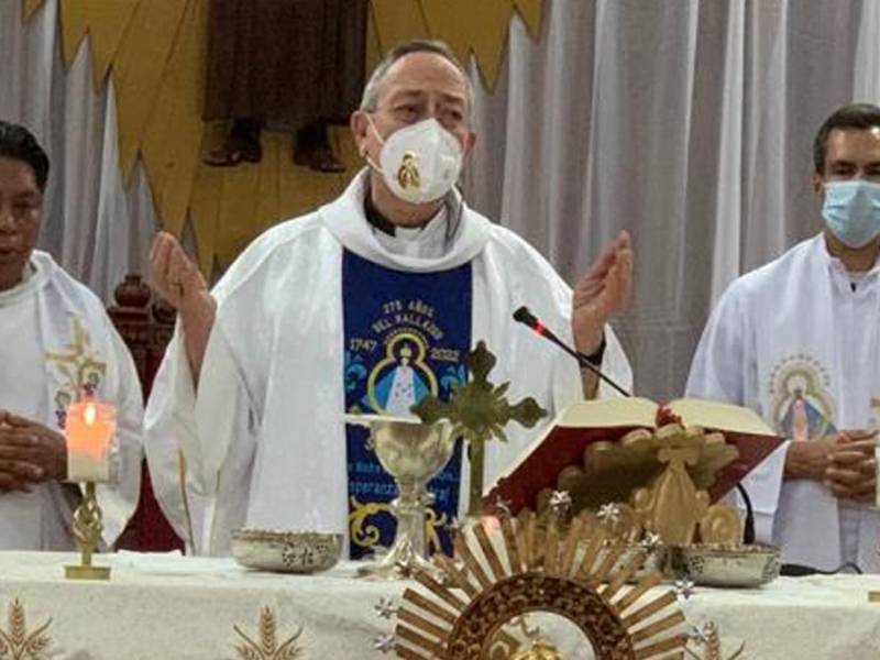 El cardenal hondureño Óscar Andrés Rodríguez.