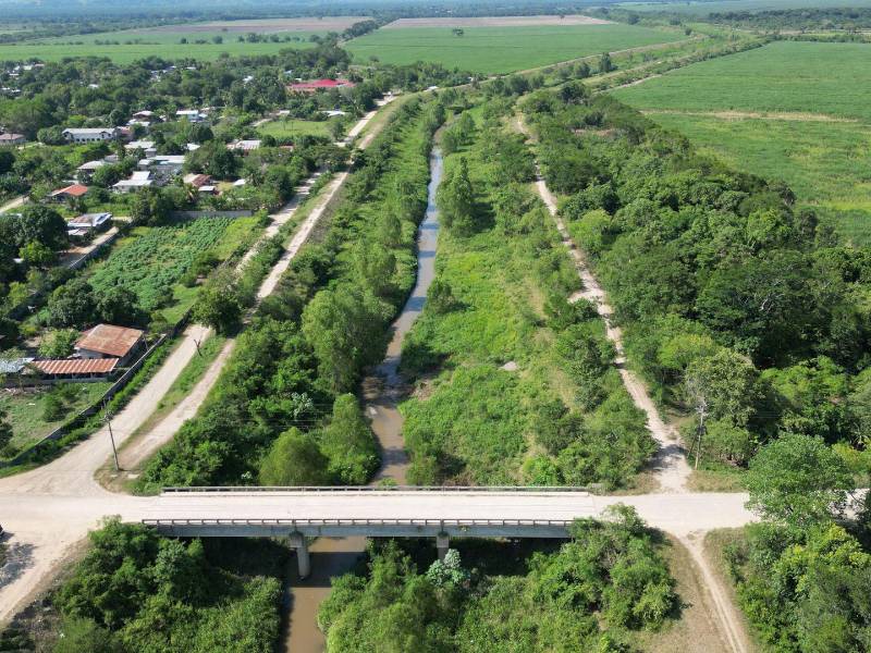 Los 11 kilometros que tiene el Canal Maya están azolvados y llenos de maleza.