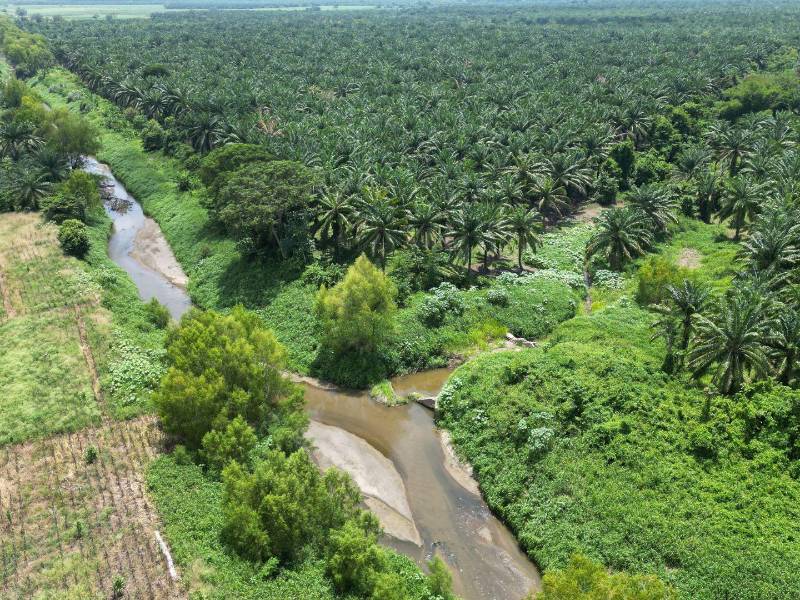 En el sector conocido como El Tamarindo, cerca del canal de Amapa, aún persisten boquetes que filtran agua del río Ulúa e inundan comunidades del margen derecho.