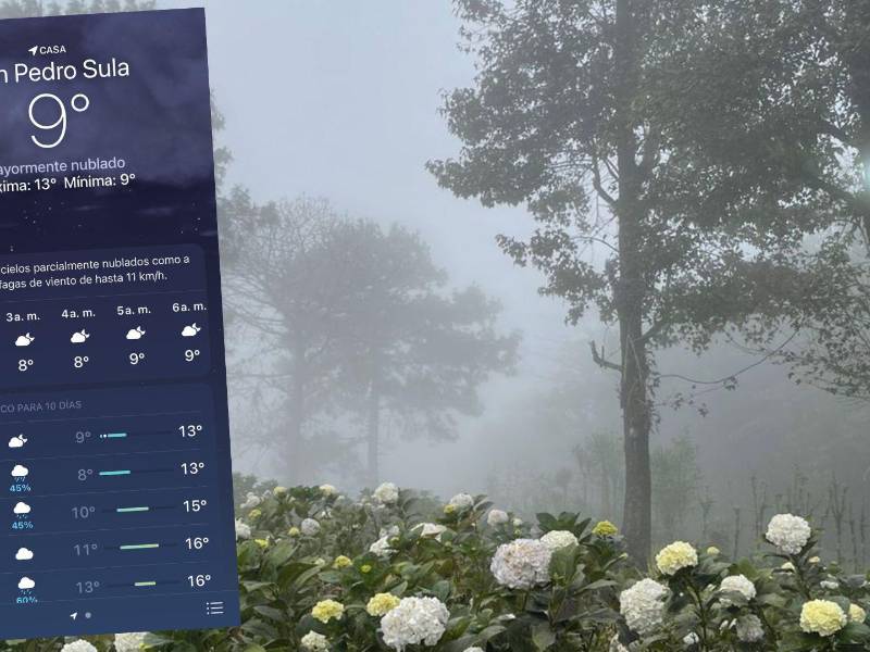 El calor que pocas veces da tregua en la capital industrial de Honduras hizo una pausa obligada. Este domingo, mientras gran parte del país amanecía con temperaturas frescas por el paso de un frente frío, en San Pedro Sula sus pobladores disfrutaban de frescas temperaturas que han rodando entre los 22 y 18 grados centígrados.