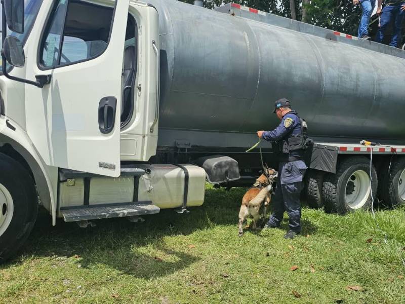 Un contenedor que era movilizado desde la zona norte hacia el occidente de Honduras fue interceptado durante una operación policial en El Progreso, Yoro, donde los agentes encontraron 56 fardos de clorhidrato de cocaína, aproximadamente 1000 kilos; además de armas, chalecos antibalas y municiones.
