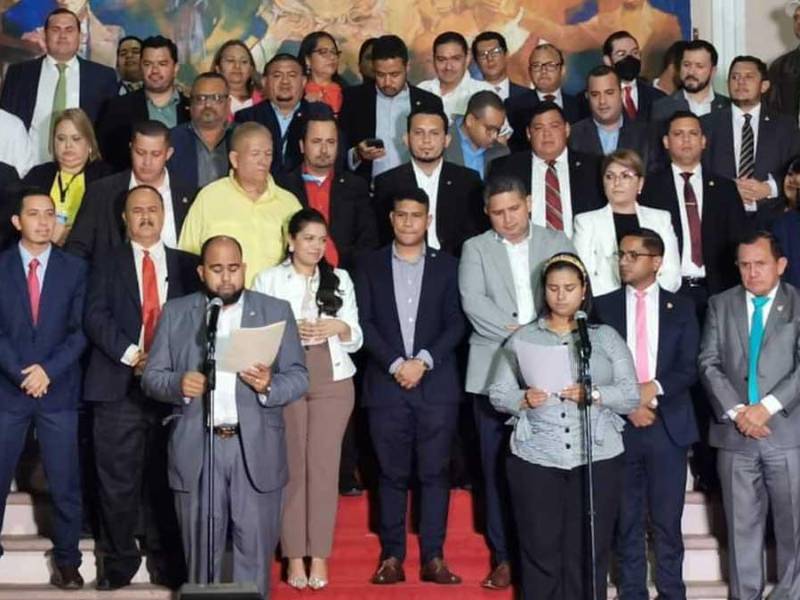 Diputados del Partido Libertad y Refundación (Libre).