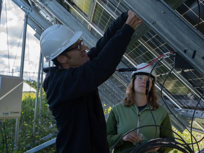 Chris Pike (izq.) trabajando en paneles solares de dos caras en una granja solar en Houston, Alaska, donde se han sembrado cultivos.