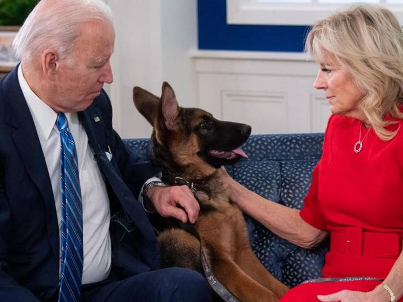 Commander es una de las mascotas de Biden que le fue obsequiado por su hermano.