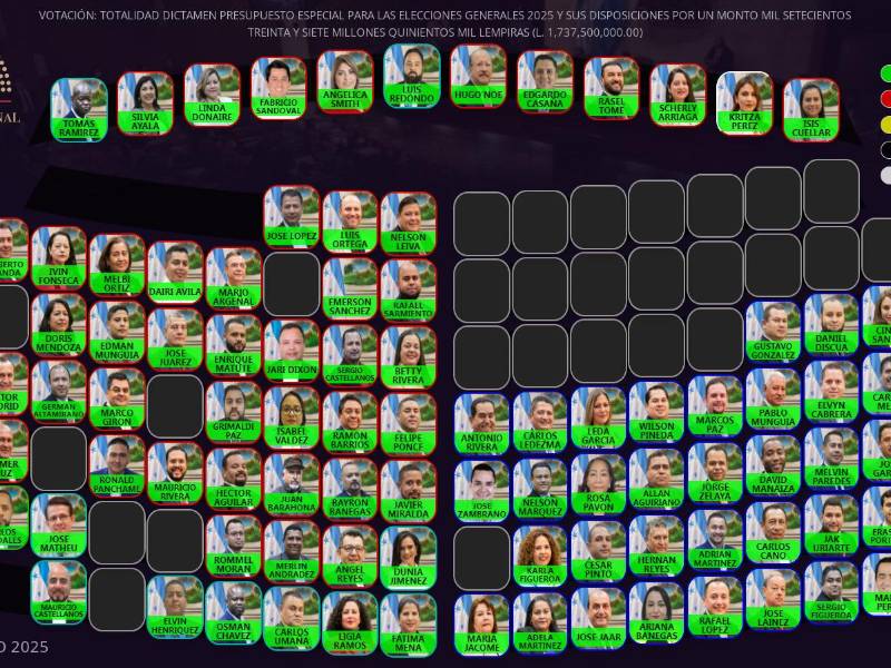 Así fue la votación sobre el decreto del presupuesto electoral.