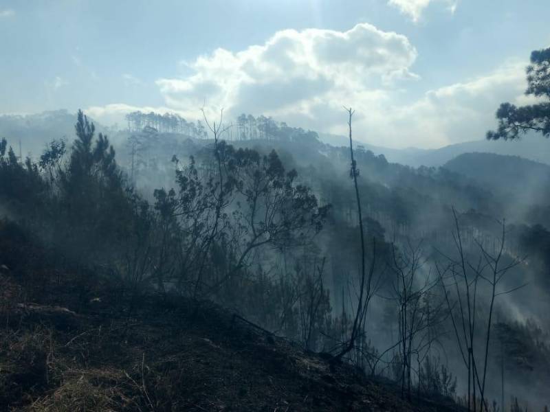Fotografía del incendio en El Trigo.