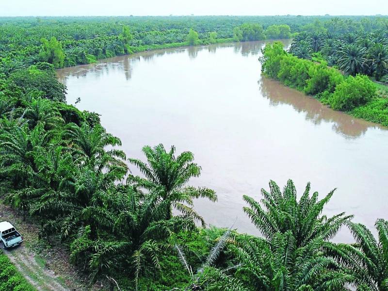 Patronatos recurren también a las municipalidades para pedir ayuda.