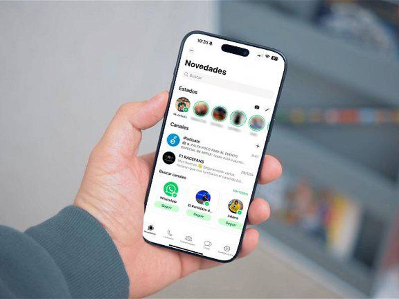 Fotografía de referencia.