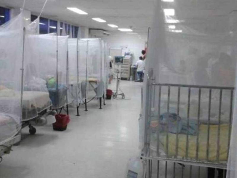 Los síntomas del dengue son cuadro de fiebre alta, acompañada de dolores en la cabeza y los ojos; fatiga y severo dolor muscular y en los huesos.