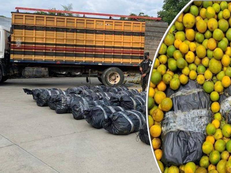 Parte de la supuesta marihuana decomisada.