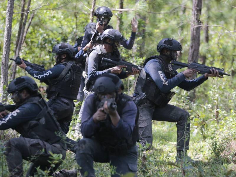 Hasta que la decisión del Consejo Nacional de Defensa y Seguridad sea formalizada se conocerá quién dirigirá la nueva Agencia Nacional contra el Crimen y cómo operará esta estructura adscrita al Consejo.