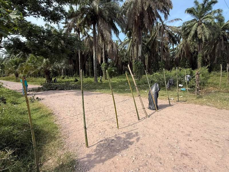 La finca Ebenezer amaneció tomada por un grupo de personas, los afectados denuncian a miembros del Movimiento Campesino del Aguán.