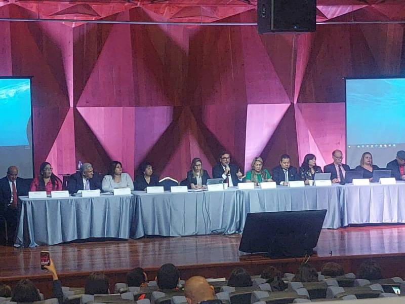 El Congreso Nacional deberá elegir a 15 de los 45 candidatos a magistrados que integran la nómina que entregó la Junta Nominadora.