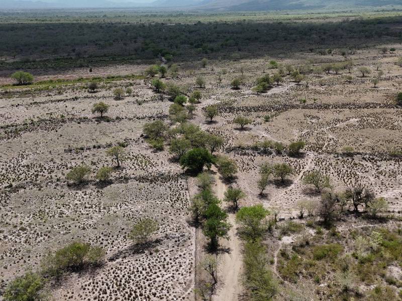 Ni agua para cultivos, ni para el ganado, ni para el consumo: el prolongado verano ha secado gran parte de las fuentes de agua y el desabastecimiento alcanza niveles críticos en Yoro.