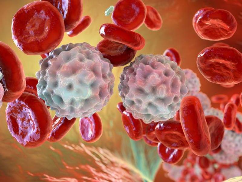 La salud de la sangre se refleja en señales que no deben pasarse por alto.