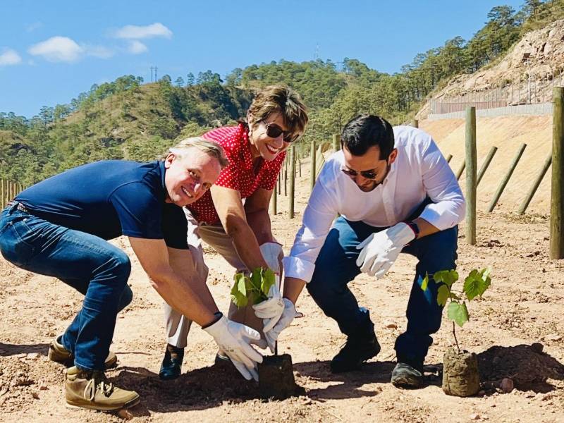 Rodrigo Barbosa, CEO de Aura Minerals; Gama Watson, embajadora de Brasil en Honduras y Miguel Medina, ministro de Inversiones, realizaron sembraron la primera planta de vid en el occidente hondureño.