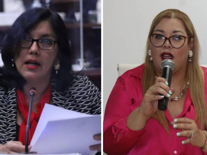 La diputada Ayala asegura que la comisionada Izaguirre no aparece en los registros del Colegio de Abogados.