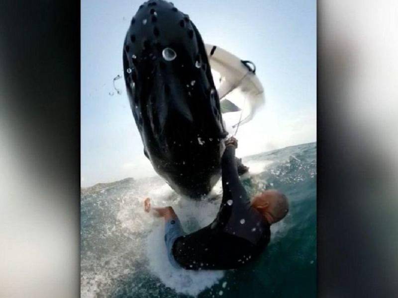 Video: Ballena cae sobre surfista y lo hunde en el océano
