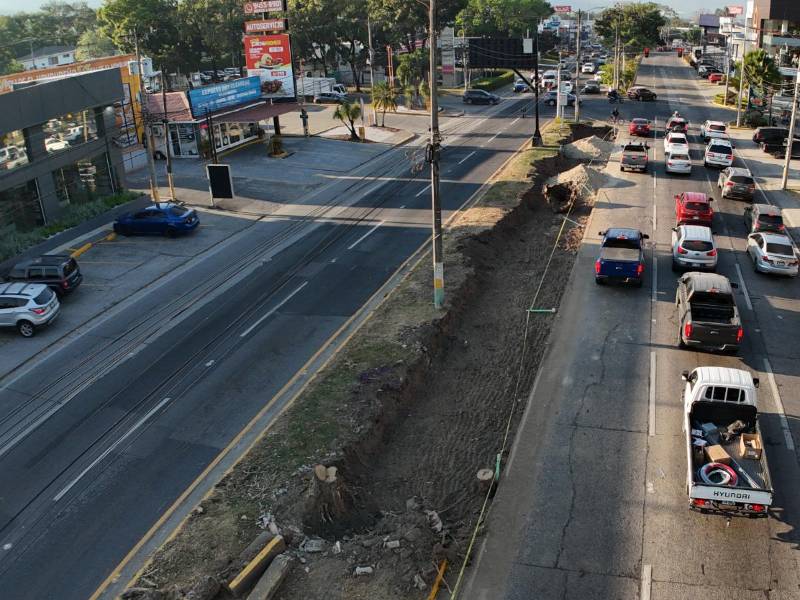 Decenas de árboles fueron cortados en una ciudad donde se están experimentando temperaturas de más de 38 grados con sensación térmica arriba de 40 grados.