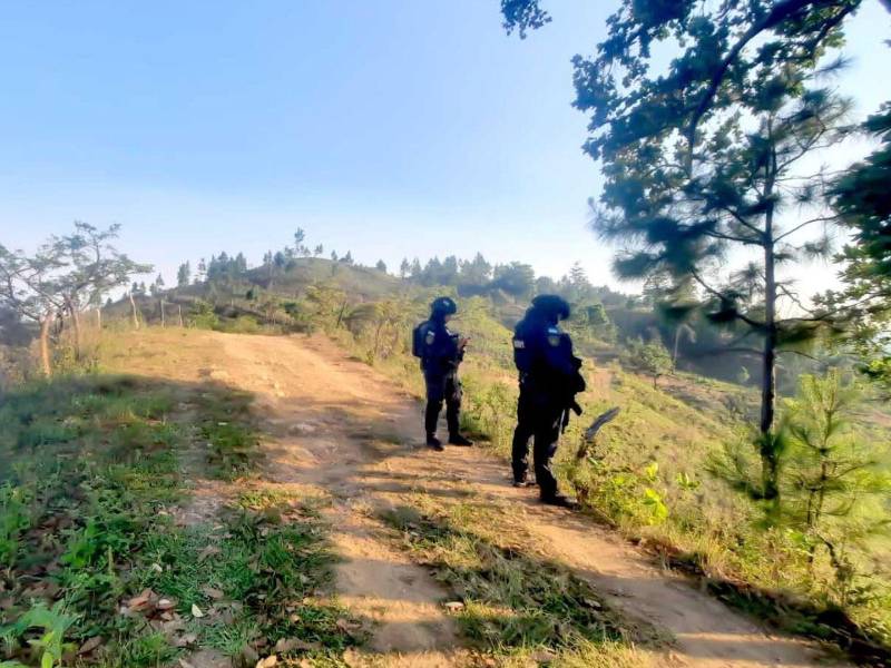 LA PRENSA Premium conoció que, ante el asedio de las autoridades, el Cartel del Diablo se ha refugiado también en las montañas de Francisco Morazán.