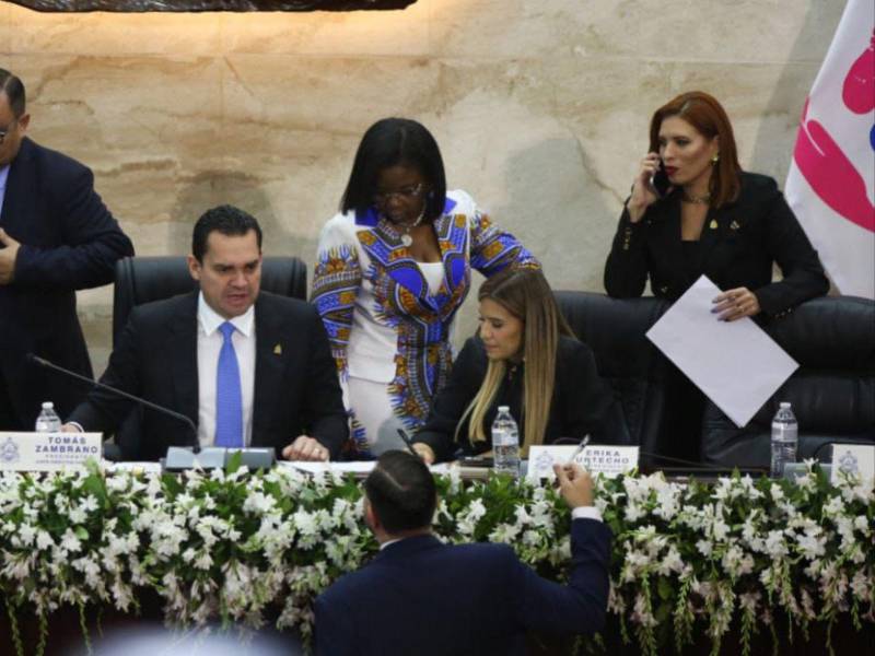La jornada de presentación y discusión duró más de tres horas dentro del Congreso Nacional.