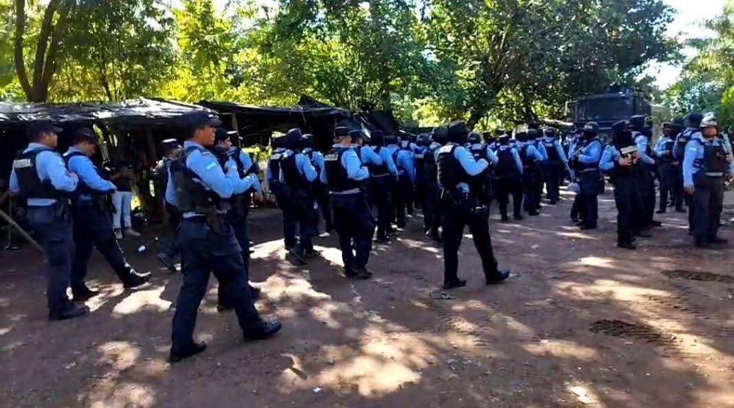 Tensión en desalojo de más de 200 familias campesinas en Tocoa