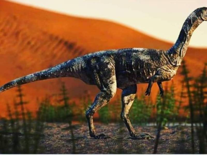 La nueva especie fue nombrada 'Vespersaurus paranaensis'.